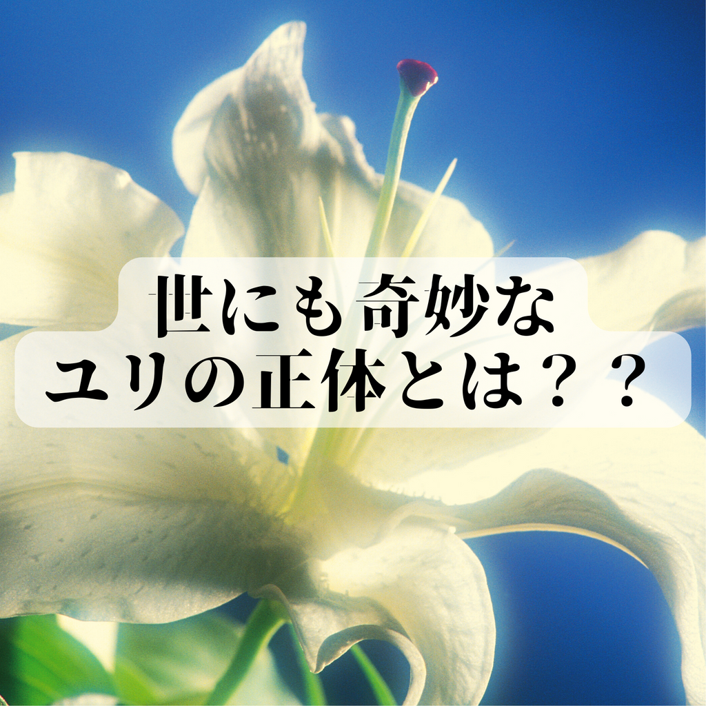 帯化(たいか) ダスティーミラー 綴化、帯化、石化 ケイトウの花 | 京都の外構